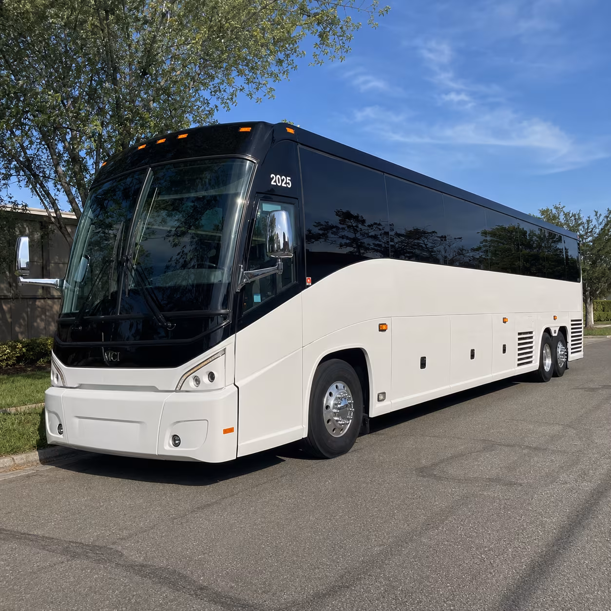 mountain view bus rental service area